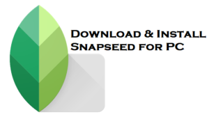 snapseed download pc windows 10