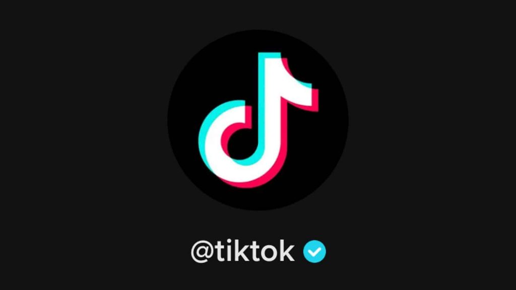 How to Get Verified on TikTok in 7 Easy Steps - Wishpond Blog