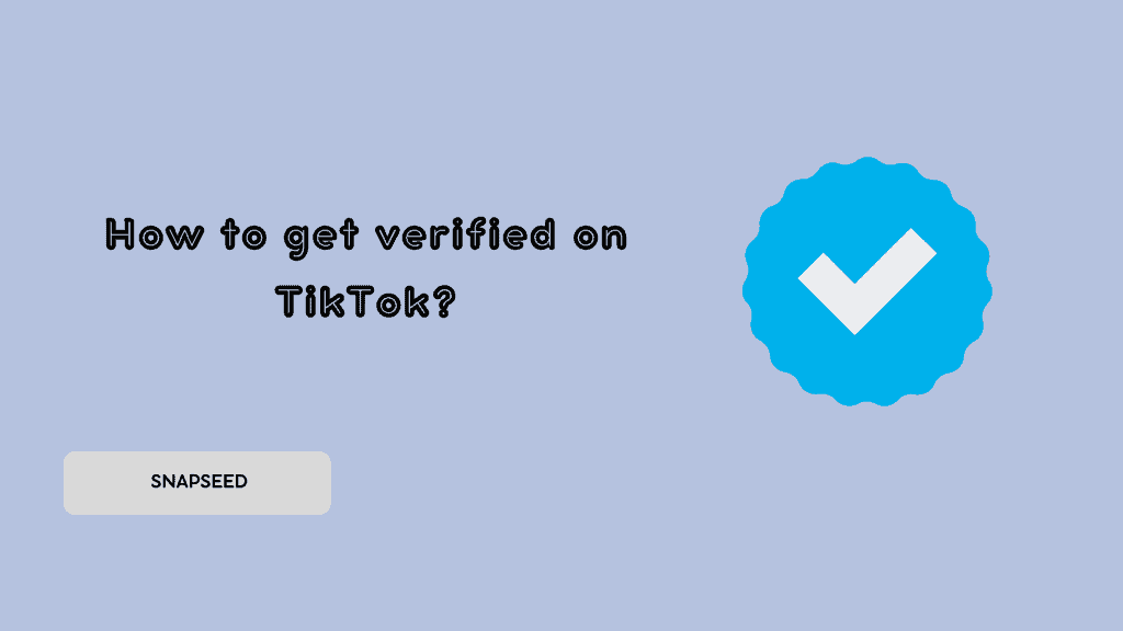 How to get verified on TikTok?
