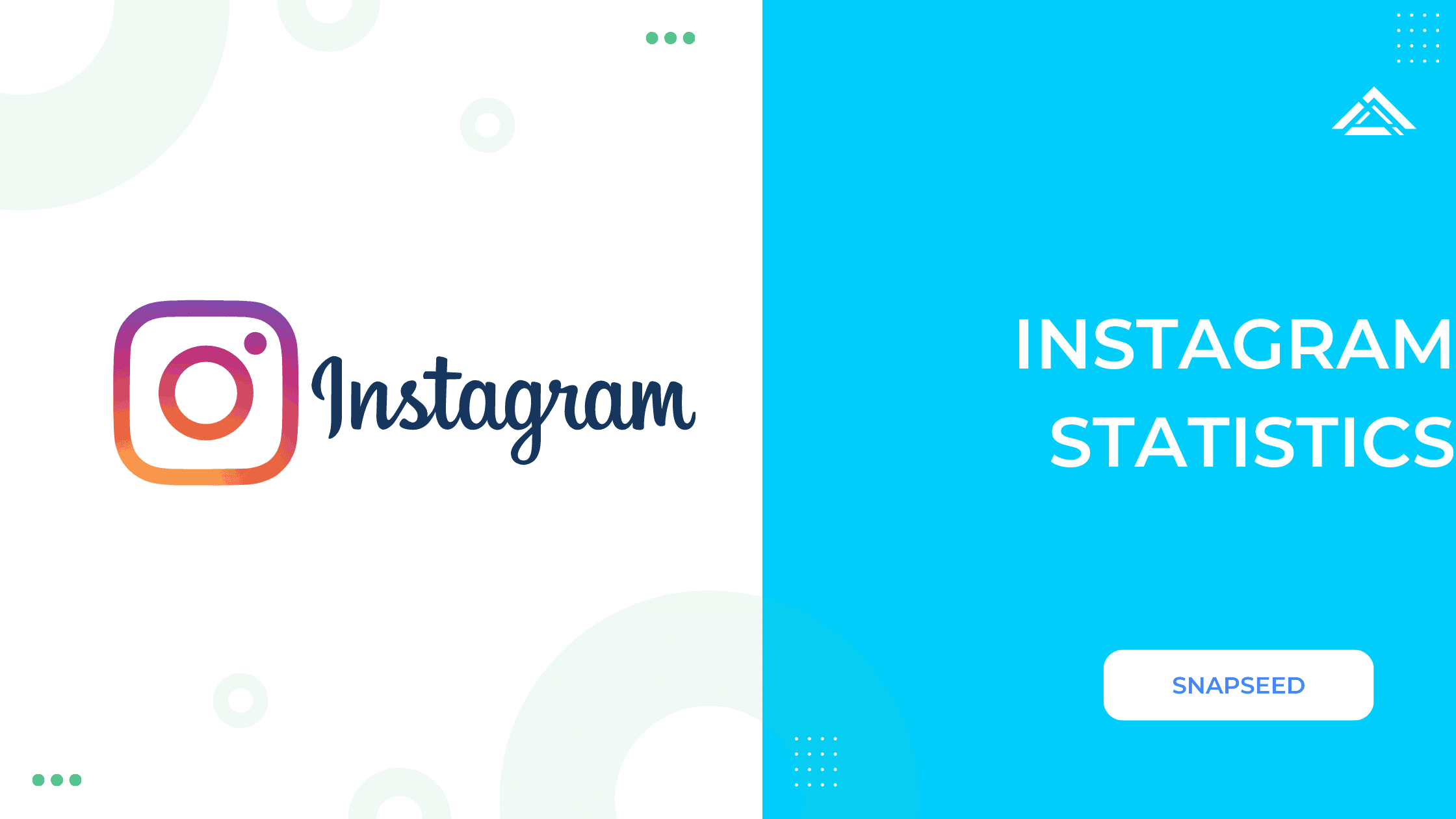 Instagram Statistics - Snapseed