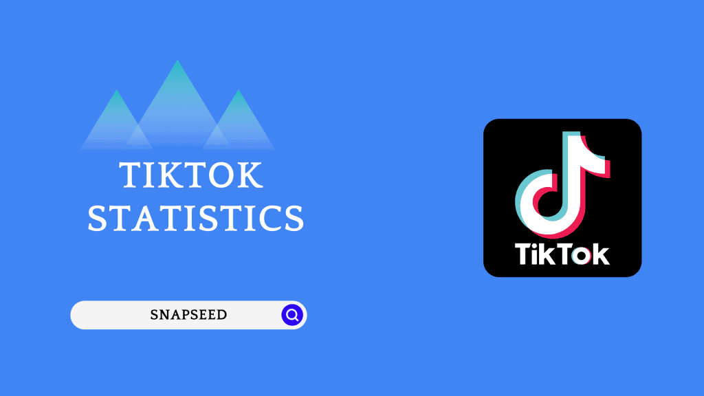TikTok Statistics - Snapseed